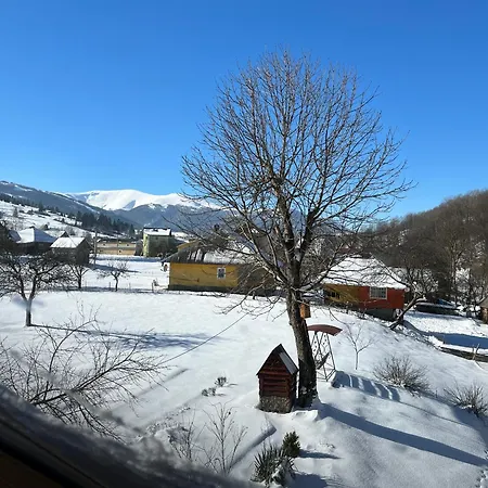 Beautiful House בית הארחה *