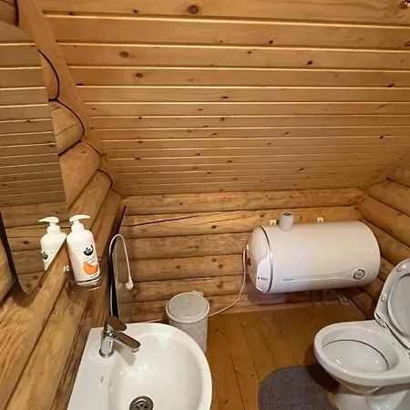 Beautiful House * Pilipets