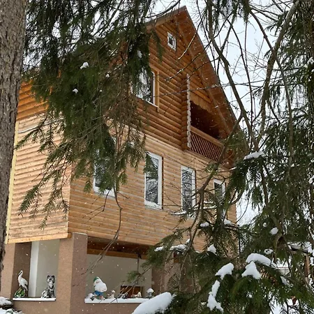 Beautiful House * Pilipets