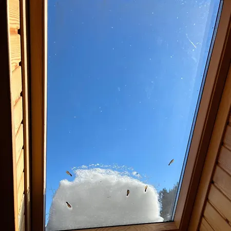 Guest house Beautiful House