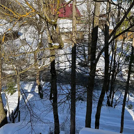 Guest house Beautiful House