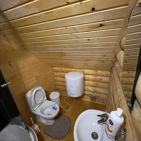 Beautiful House * Pilipets