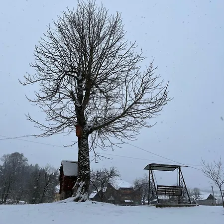 Beautiful House Pilipets